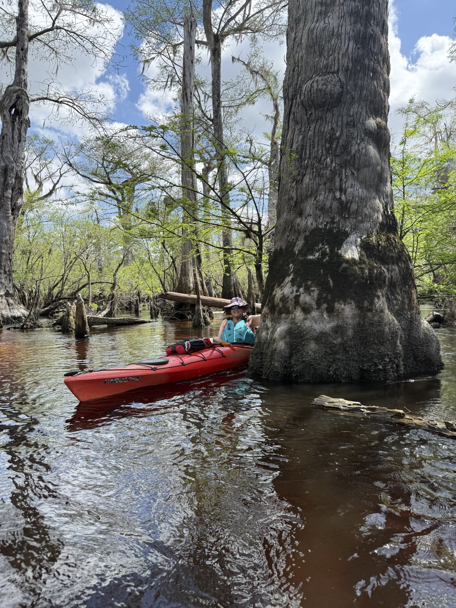 Three Sisters Swamp Black River My Little Red Bike three-sisters-swamp-black-river-my-little-red-bike